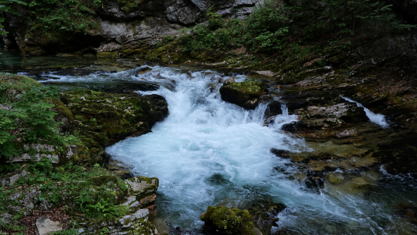 Rapid water flowing through rocks of Radovna mountain river in Vintgar Gorge, Triglav National Park, Slovenia.
 Royalty-Free Stock Footage #1094513227