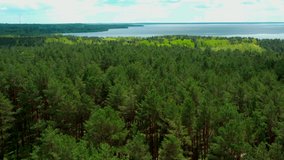 A drone flight over Lake Naroch in spring, when the garden is in bloom and the greenery of coniferous trees has an emerald color.