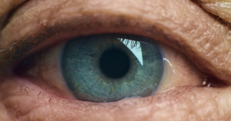 Macro image of green, blue eye color and detail display of natural human anatomy of adult caucasian iris. Professional, high quality close up photo of healthy elderly eyeball showing clear vision