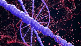 4k video of a pink and purple DNA chain on a black background with pink shining light. - Powered by Shutterstock - Get 15% off with code: PIKWIZARD15