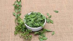 Henna Tree Leaves or Mignonette Tree Fruits and Leaves in a White Bowl Isolated on Burlap Fabric, Also Known as Egyptian Privet