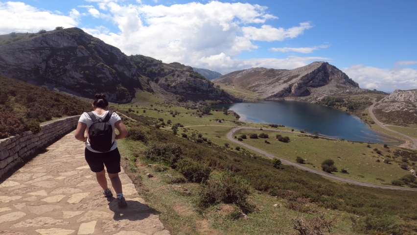 Hiking in Lagos de Covadonga or Covadonga Lakes, surrounded by mountains, lakes and cows, in Spain.
