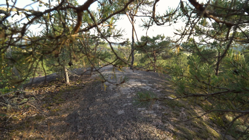 Mature man with hiking equipment walking in mountain forest in Finland and photographing breathtaking northern landscapes with an old vintage camera