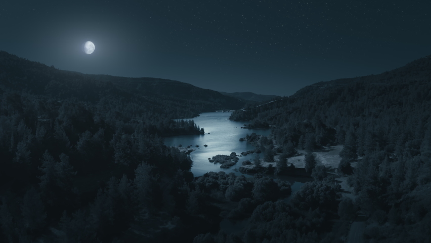 Black star aerial view night on moon lake dark background. Fantasy blue starry sky. Cinematic summer nature forest landscape. Science astronomy. Halloween autumn concept. Dramatic mystic light.
