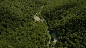 Road through the green forest view from above. Small pond. Human and nature. Drone video 4k footage.