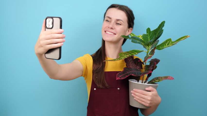 Charming young girl florist blogger being photographed with plants in pot on mobile phone camera, posing on blue background wall. Gardening, housewife, working online social media influencer concept | Shutterstock HD Video #1094570487