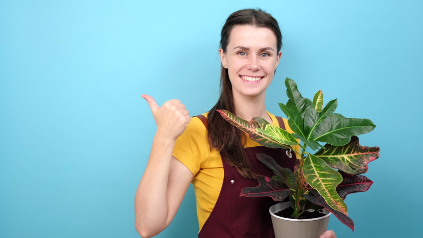 Charming beautiful young brunette florist points away with thumb, shows blank space for your advertisement or design, holds pot with beautiful green plant, isolated over blue studio background wall | Shutterstock HD Video #1094584785