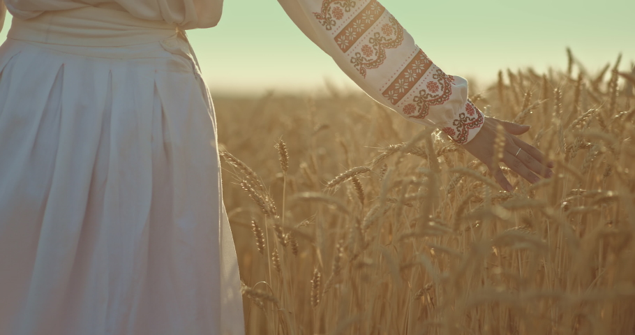 Close-up, a Ukrainian woman in a national costume touches ripe ears of wheat, a rich grain harvest. Woman's hand in embroidery runs over the golden years in the field. 4k, ProRes Royalty-Free Stock Footage #1094589549