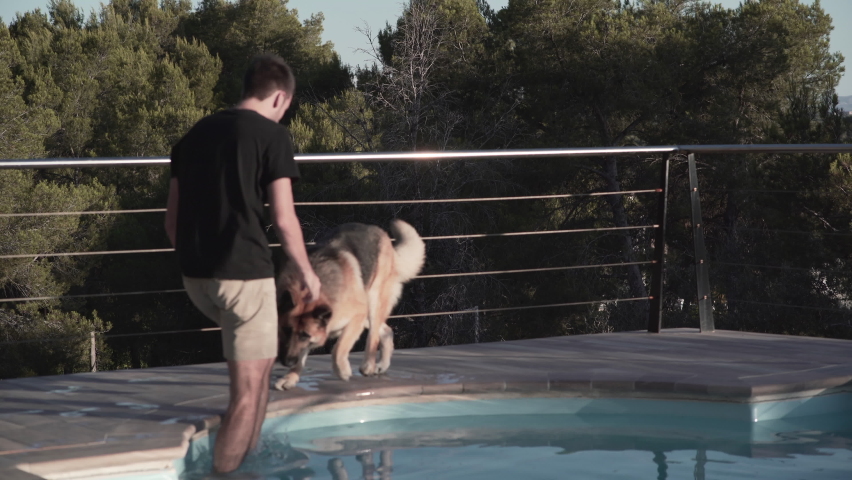 man petting a dog in the swimming pool at sunset