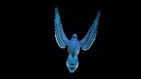 Blue Jay Bird - Flying Loop - Back View - 3D Animation with Alpha Channel 