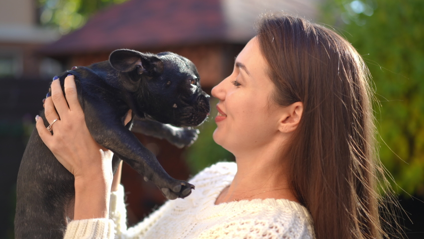 Curios French Bulldog licking face of beautiful young woman and looking at camera. Cute puppy enjoying leisure with gorgeous Caucasian lady outdoors on sunny day. Pets concept Royalty-Free Stock Footage #1094596503