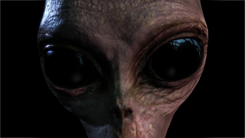 Alien Looks into the camera
 | Shutterstock HD Video #1094613905