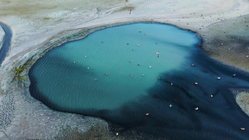 mineral water source on the lakeside with birds view from above