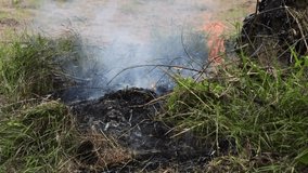 Burning grass and a log or branches on the field with a small fire and smoke. Background video for a burning nature or climate change or saving our planet.