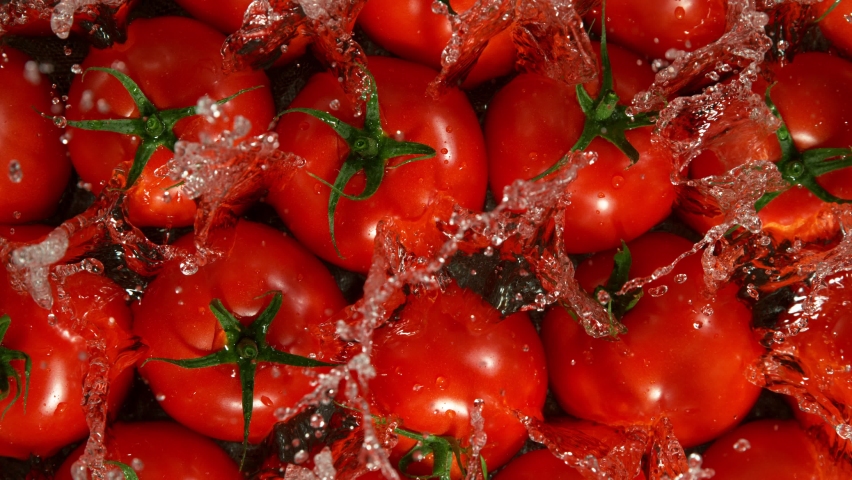 Super Slow Motion Shot of Splashing Fresh Tomatoes. Filmed on High Speed Cinematic Camera at 1000fps. - Powered by Shutterstock - Get 15% off with code: PIKWIZARD15