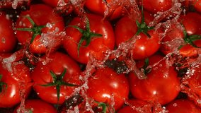 Super Slow Motion Shot of Splashing Fresh Tomatoes. Filmed on High Speed Cinematic Camera at 1000fps. - Powered by Shutterstock - Get 15% off with code: PIKWIZARD15