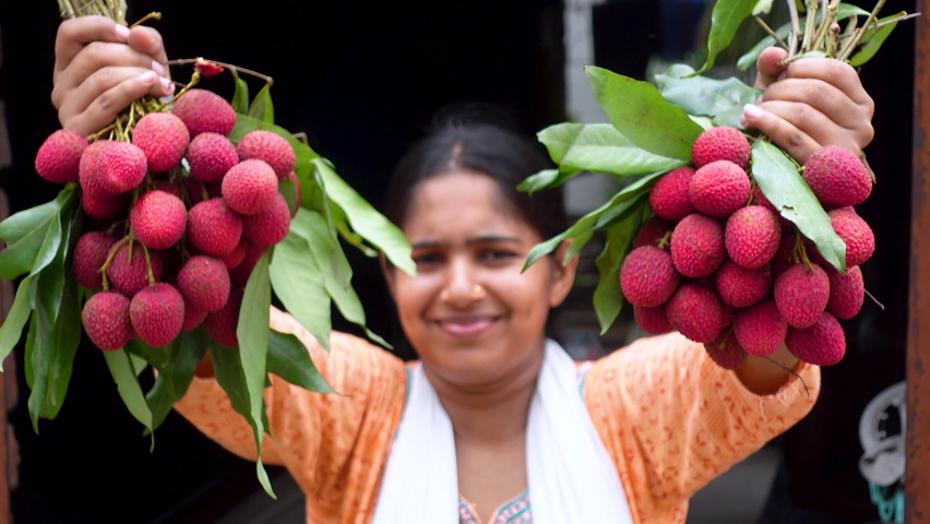 An Asian girl displays some fresh lychee bunch.  Young girl eating fresh lychees. A women and lychee fruits. Fruit-eating concepts. 4k video. 