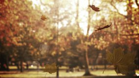 Animation of happy thanksgiving text over park. Thanksgiving day and celebration concept digitally generated video. - Powered by Shutterstock - Get 15% off with code: PIKWIZARD15