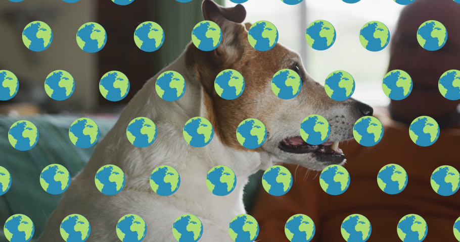 Animation of globe icons over dog. Global ecology and digital interface concept digitally generated video.