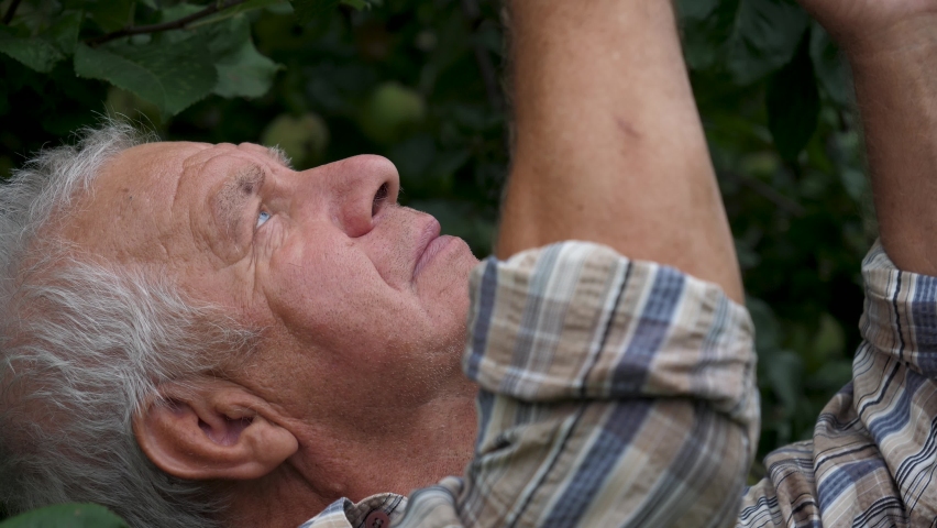 Portrait Of Alone Sad Elderly Old Man Looks Up At The Sky With Hope Praying | Shutterstock HD Video #1094647213
