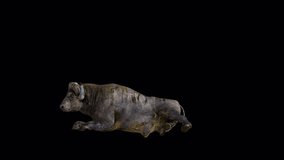 Buffalo Sitting Right Side View Animation.Full HD 1920x1080 06 Second Long.Transparent Alpha video.LOOP.