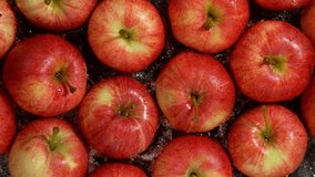 Super Slow Motion Shot of Splashing Fresh Apples. Filmed on High Speed Cinematic Camera at 1000fps. - Powered by Shutterstock - Get 15% off with code: PIKWIZARD15
