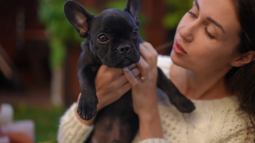 Charming black French Bulldog puppy licking face of young Caucasian woman in slow motion. Little purebred puppy enjoying leisure with beautiful lady outdoors in backyard garden. Care and lifestyle | Shutterstock HD Video #1094657099