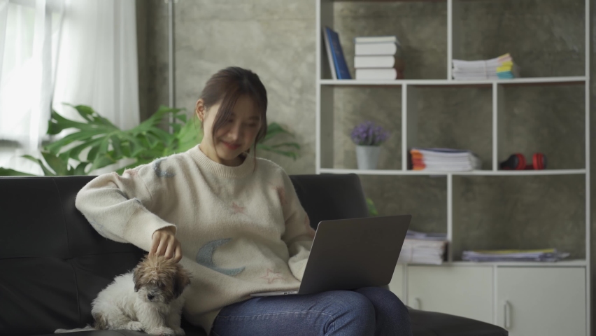 Attractive Asian woman plays with puppy on sofa while working on laptop.
 Living room, new normal lifestyle | Shutterstock HD Video #1094658991