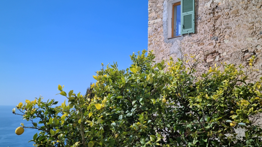 8K Lemon Tree With Its Lemons Next To An Old Stone House On A View Of The Mediterranean Sea, French Riviera - 8K UHD (7680 x 4320) Royalty-Free Stock Footage #1094665357