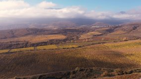 Hills of South America Vineyard and Winery. Beautiful fall vineyards landscape with bright colors. Aerial drone view video