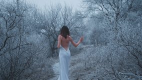 White beige color long romantic elegant dress. Fantasy girl Fashion model walk on snowy road frosty nature winter forest. Black tree silhouette blue hoarfrost. Happy woman Snow Queen. Back rear view - Powered by Shutterstock - Get 15% off with code: PIKWIZARD15