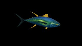 Yellow Tuna Fish Top View animation.Full HD 1920×1080.7 Second Long.Transparent Alpha video.LOOP.