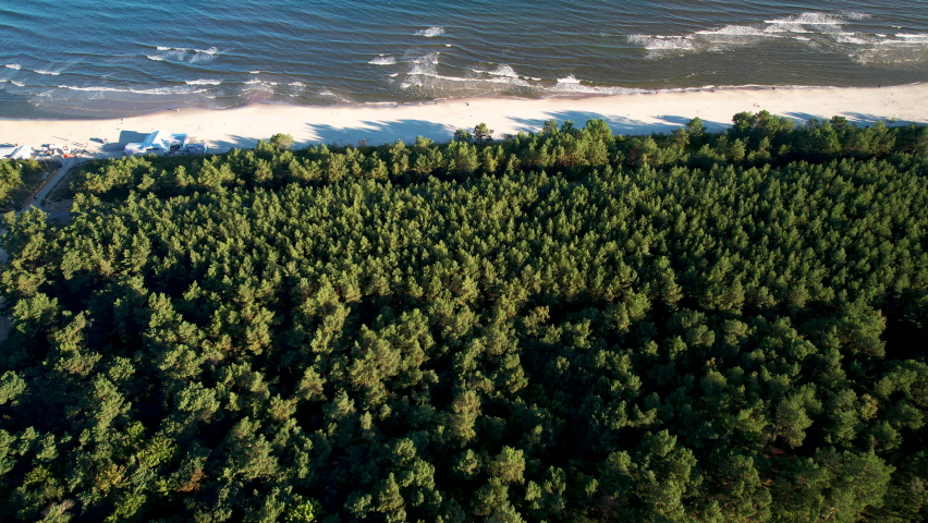 Aerial flyover dense forest trees and sandy beach with tranquil Baltic Sea in summer - Poland,Europe