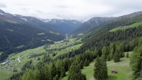 Aerial drone footage flying high above an alpine meadow in flower in spring with a Swiss alpine log cabin, a forest of green conifer trees, mountains and village in the background. Davos, Switzerland