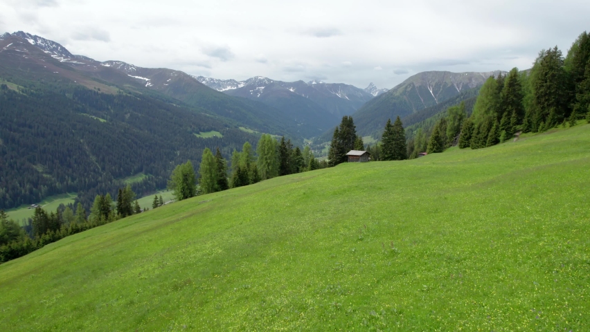 Aerial drone footage rising above an alpine meadow in spring in full flower with a forest of green conifer trees, log cabin and mountains in the background in Davos, Switzerland.