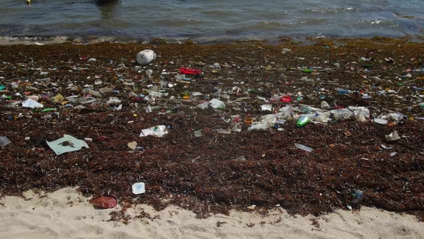 Plastic trash on the coast after high tide | Shutterstock HD Video #1094695023