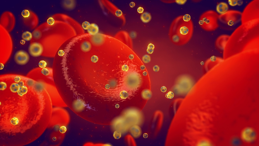 Animation of High-density lipoprotein particles (HDL) also known as good cholesterol, in the blood. Higher HDL levels correlate with lower risk of cardiovascular disease