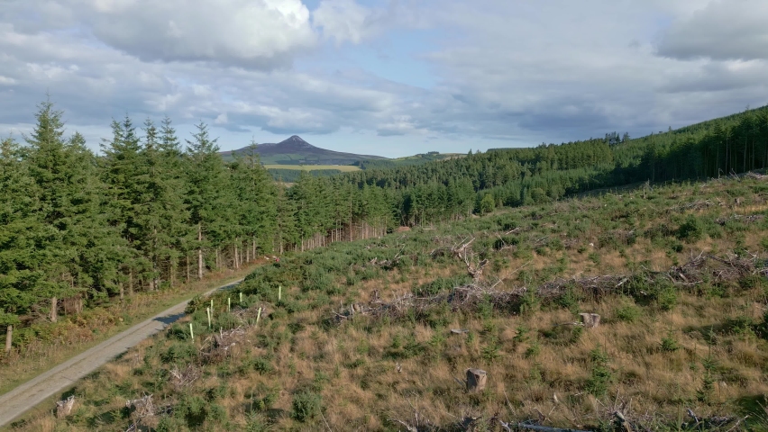 Crone Woods towards Great Sugar Loaf, County Wicklow, Ireland