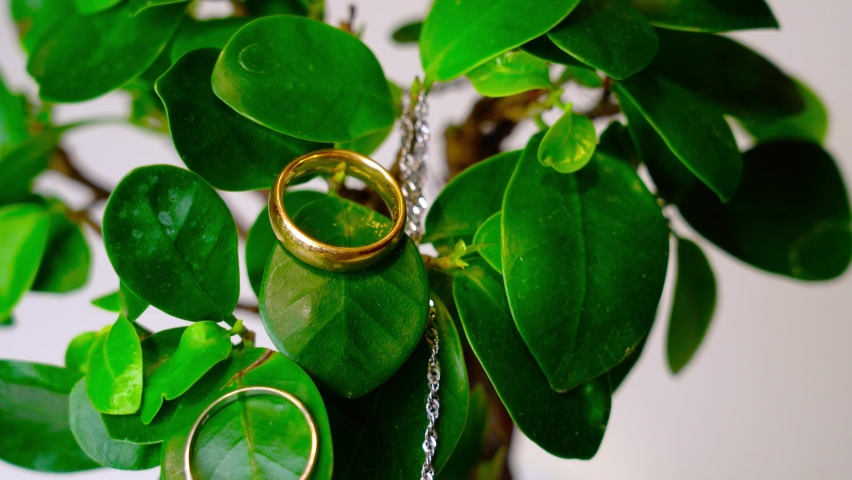 Cinematic shot of golden wedding rings in a small tree, marriage concept. | Shutterstock HD Video #1094725429