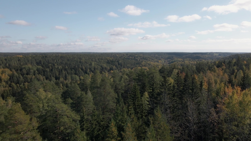 Aerial Footage of Remote Pine and Birch Forest in Finland. Drone Shot Slow Forward Dolly over Treetops in a Valley 4K.