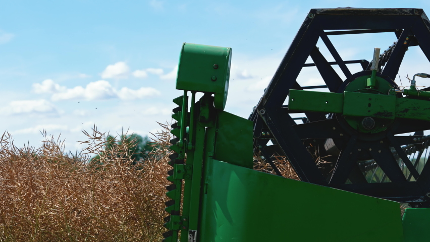 A side view of a combine drivers cabin and a revolving reel - a male farmer driving a combine harvester and harvesting oilseed rape on a field. High quality 4k footage