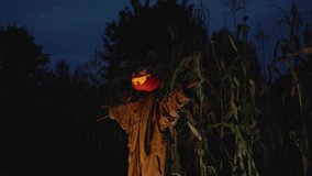 Scary pumpkin scarecrow in a cornfield at night. Halloween holiday concept. - Powered by Shutterstock - Get 15% off with code: PIKWIZARD15