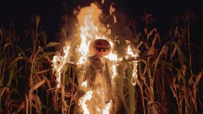 Burning Halloween Scarecrow in a cornfield at night. Halloween holiday concept. - Powered by Shutterstock - Get 15% off with code: PIKWIZARD15