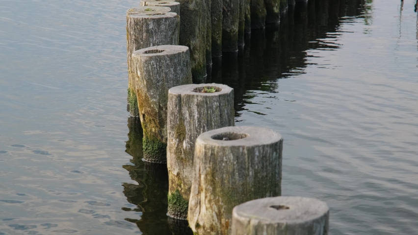 Wooden piles in the water on lake shore