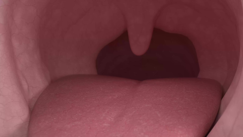 inside human throat mouth 3D animation Royalty-Free Stock Footage #1094789491