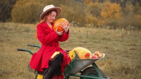 Redhead woman in red and autumn Thanksgiving still life with plaid, pumpkins and apples. A girl in orange rests in nature with a dog. Autumn weekend idea, bachelorette party, date night, harvest day. - Powered by Shutterstock - Get 15% off with code: PIKWIZARD15
