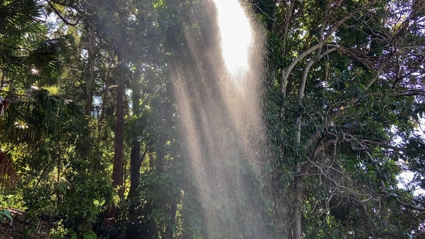 Amazing and brightly-lit tropical Amazonian style rainforest scene with sunlight streaming through the tangled trees and illuminating the rain droplets of a monsoon-like shower, in dramatic god rays