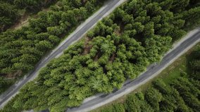 An aerial video panning over beautiful dense forests and roads in a mountainous area
