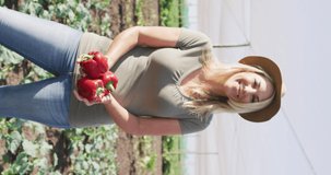 Vertical video of smiling caucasian woman holding fresh red peppers. organic farm and fresh organically grown vegetables.