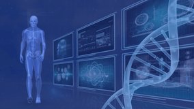 Animation of human body, dna with data processing on digital interface. Digital composite, multiple exposure, healthcare and medicine, biotechnology, data center, artificial intelligence. - Powered by Shutterstock - Get 15% off with code: PIKWIZARD15